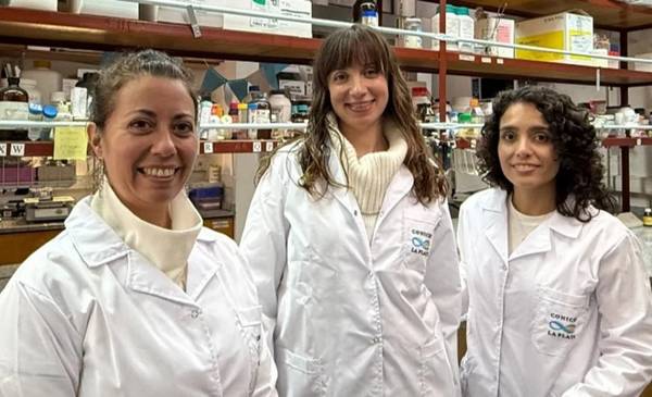 Argentine scientists developed a smart dressing that accelerates healing