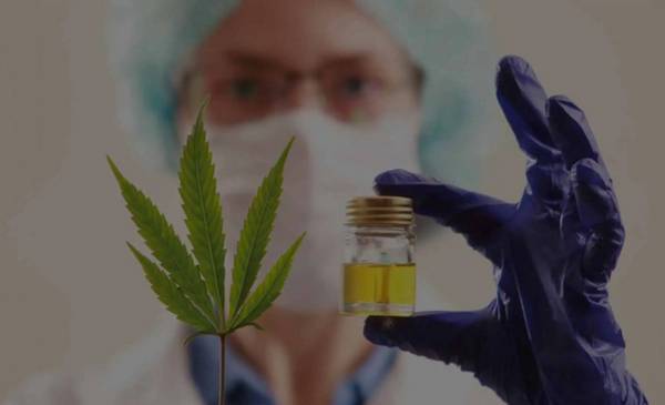 Everything ready for the first edition of Monte Cannabis Salud