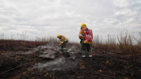 Less funds for the environment in the government of Javier Milei: the 2024 budget allocated to the undersecretariat was reduced by 65%
