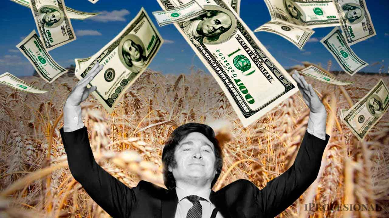 Dollars “by the ears”: keys to the white swan that anticipates a rain of record dollars