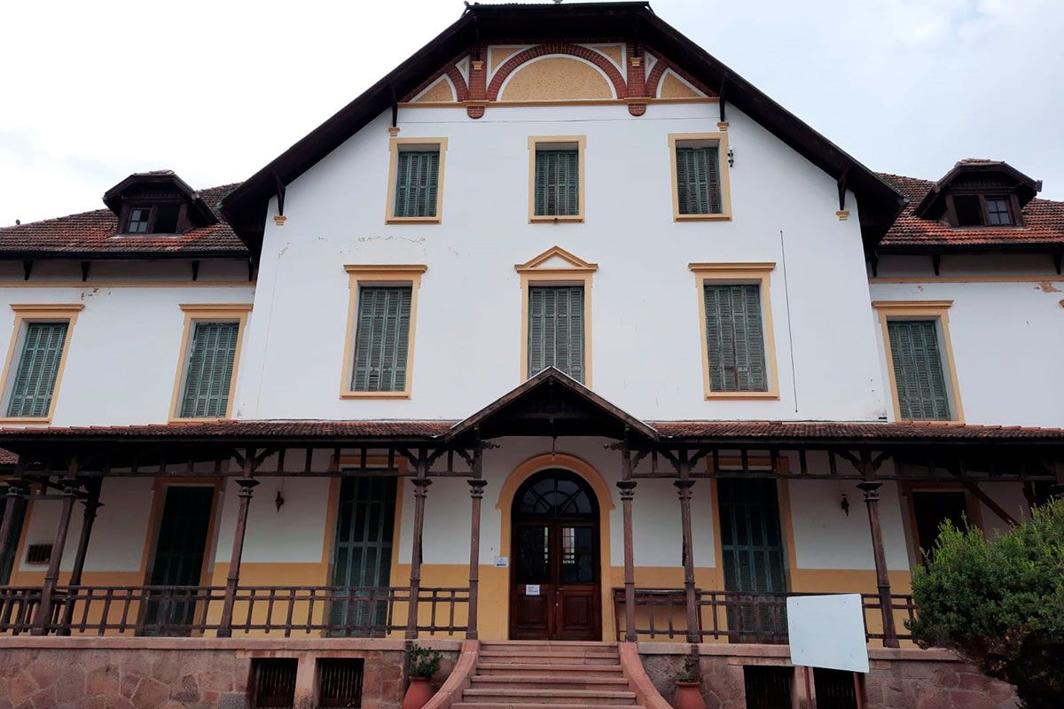 More than 42 thousand vinchucas adrift: a postcard of the scrapping in Salud in the Milei era